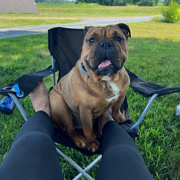 Meet your Posher, Sav - Picture 1 of 3